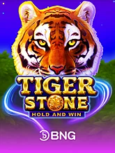 Tiger Stone